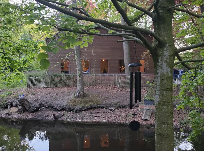 Het park op een lenteavond.